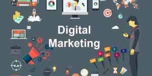 Digital Marketing Agency