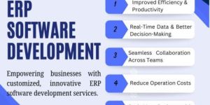 ERP Software Development