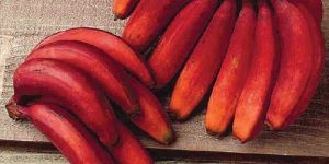 Red Banana