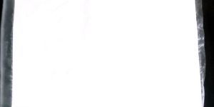 PP Woven Shopping Bag