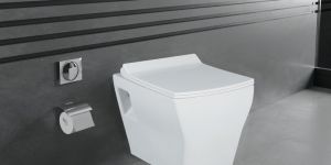 Desire Ceramic Wall Hung Water Closet