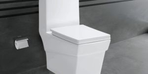 Dover Ceramic Floor Mounted Water Closet