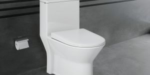 Pajero Ceramic Floor Mounted Water Closet