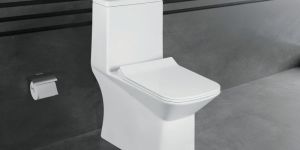 Royal Ceramic Floor Mounted Water Closet