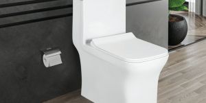 Sideny Ceramic Floor Mounted Water Closet