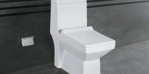 Star Ceramic Floor Mounted Water Closet