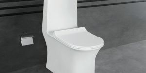 Superb Ceramic Floor Mounted Water Closet