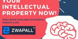 Patent Monetization Services