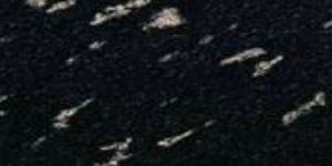 Fish Black Granite Slab