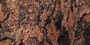 Indian Aurora Granite Slab