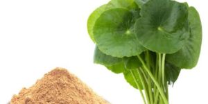 Natura Ayur Centella Extract Powder