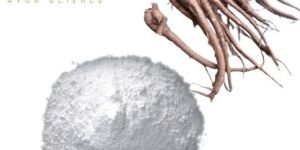 Natura Ayur Coleus Extract Powder