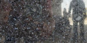 Rajasthan Black Granite Slabs