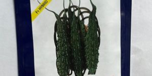 Us Agriseeds Bitter Gourd SW-813