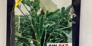 US Agriseeds F1 Hybrid SW 017 Okra Bhindi