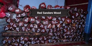 Natural Essential Oils