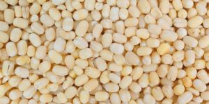 White Urad Dal