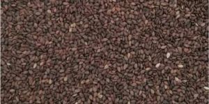 Brown Sesame Seeds