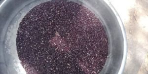 White Khosola Saga Seeds