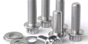 Stainless Steel Fastener