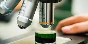 Mechanical Inspection Service