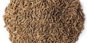 Brown Cumin Seeds