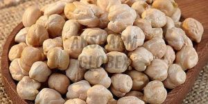 Kabuli Chickpeas