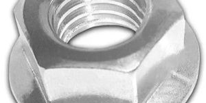 8 Mm Mild Steel Hex Flange Nut