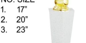 White & Golden Trophy