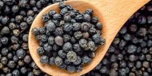 Natural Black Pepper Seeds