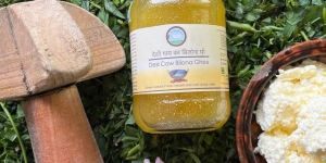 500ml Bilona Cow Pure Desi Ghee