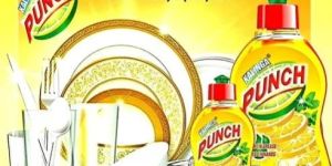 Punch Dishwash Liquid