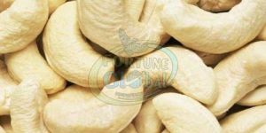 Cashew WW400 Nuts