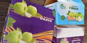 10 Kg Guava Box