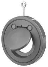 Swing Type Cast Iron Non Return Valve