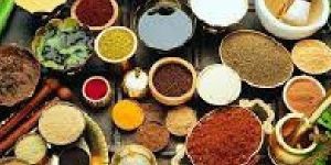 Ayurveda Consultation Service