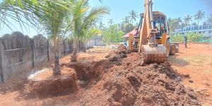 Tree Transplanting Services