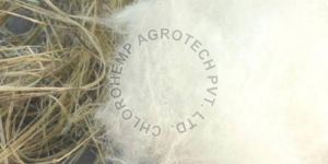 Cottonized Hemp Fiber