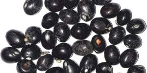 Black Rosary Pea Chirmati