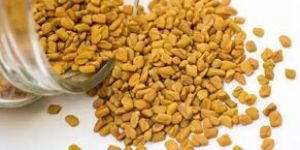 Fenugreek Seed