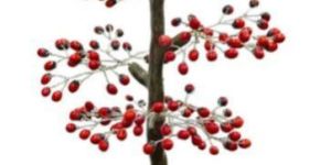 Red Gunja Gemstone Tree