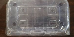 Grapes Packaging Punnet