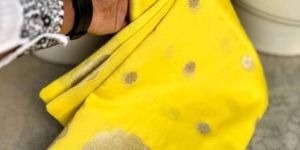 Warm Silk Banarasi Saree