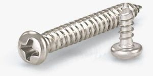 Stainless Steel Polished Cross Recessed Pan Head Tapping Screws