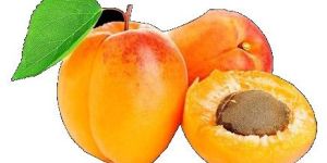 Apricot Pulp
