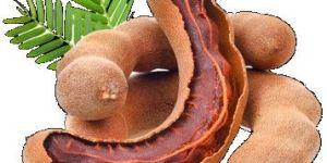 Tamarind Concentrate