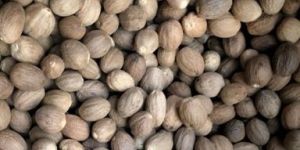 Nutmeg