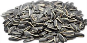 Sunflower Seeds