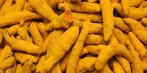 Turmeric Fingers
