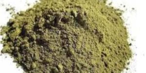 SPHAERANTHUS INDICUS (GORAKHMUNDI) EXTRACTS